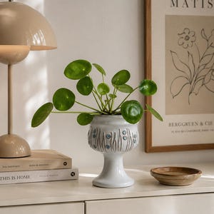 Op de afbeelding: Een witte keramische plantenpot op een voetstuk met een verticaal geribbeld patroon en kleine blauwe cirkelvormige accenten, met een groene Pilea peperomioides plant met ronde bladeren, staand op een glad oppervlak naast boeken.