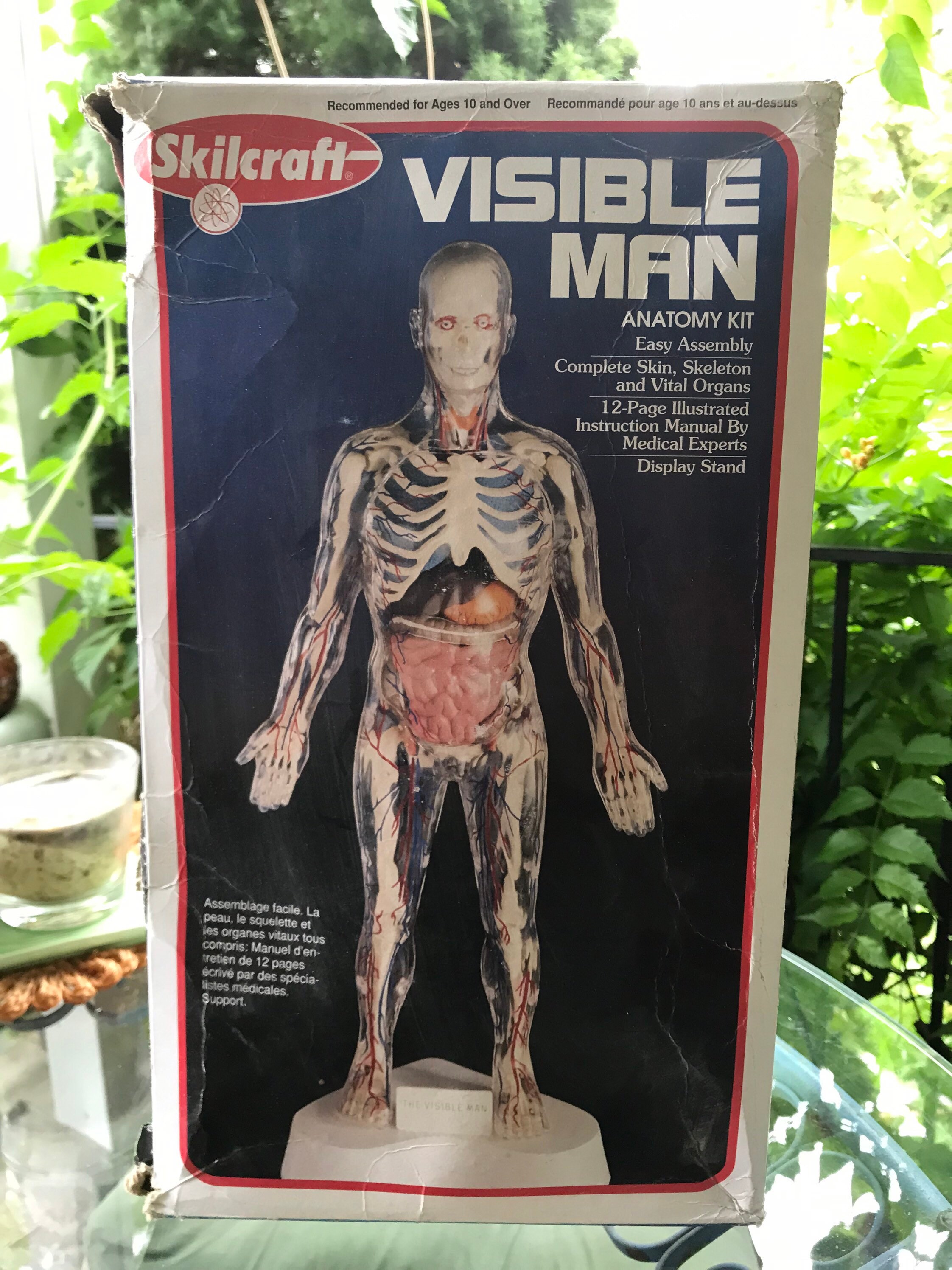 Skilcraft Visible Man Anatomy Model Kit - Etsy