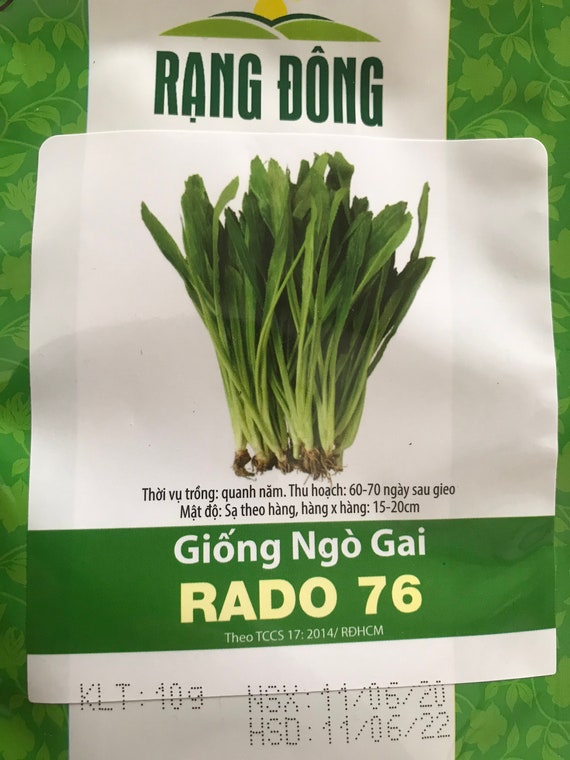 recao 10g Culantro seeds ngo gai10000 seeds long coriander,Thai