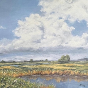 Detailed original oil painting- of prairie landscape.