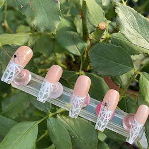 French tip Spider web Press on nails