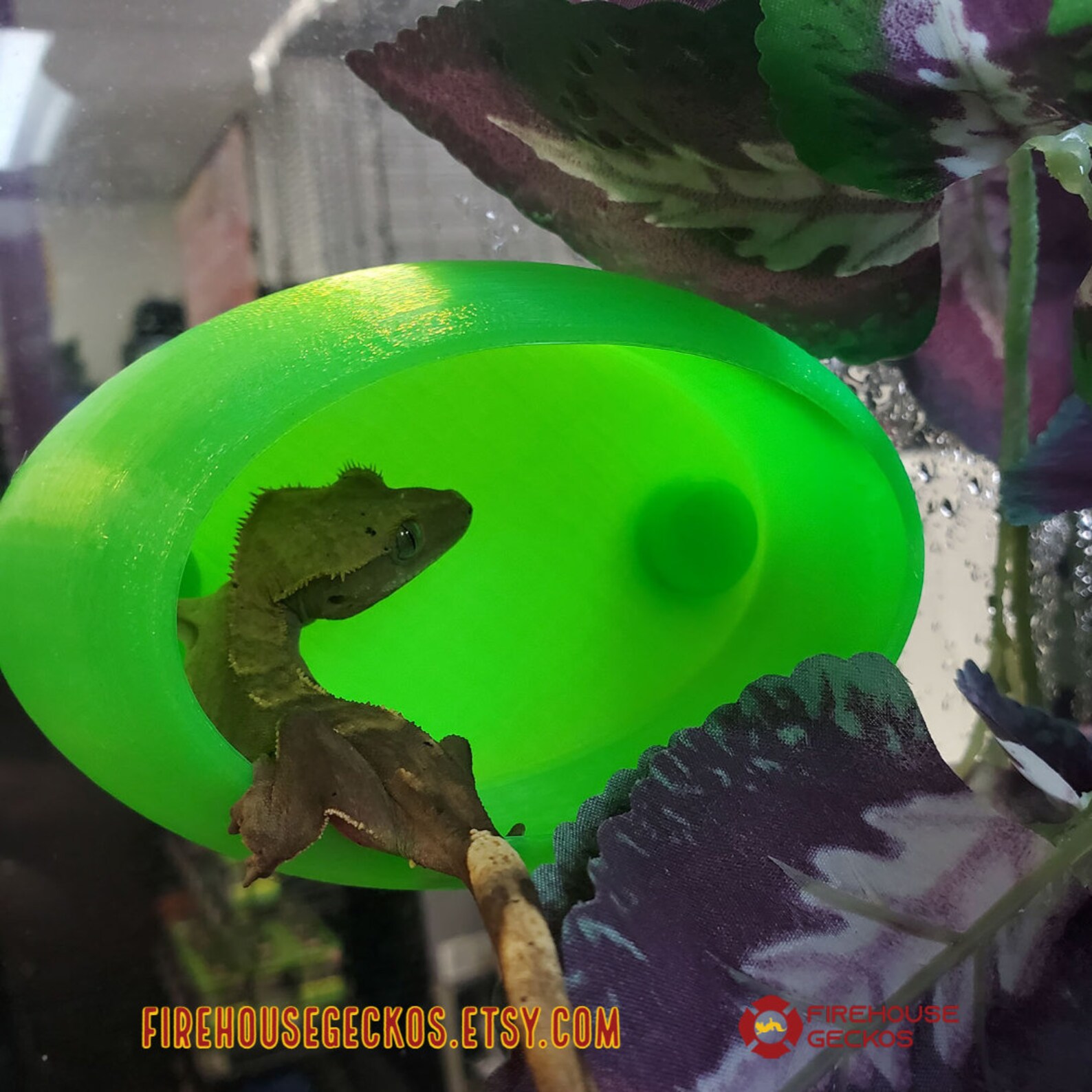 Geckorb Reptile Hide Etsy