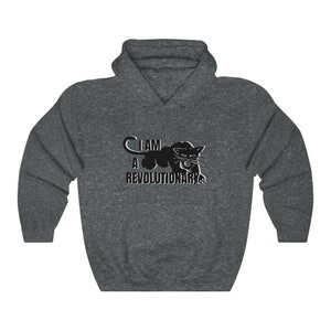 I Am a Revolutionary hoodie (new - multiple colors)