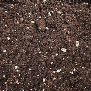 Coco Coir and Perlite Mix for Aroids and Tropical Plants