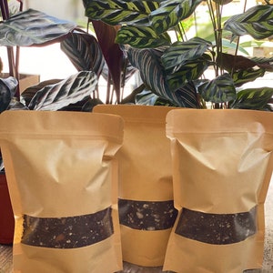 May include: Three brown paper bags with clear windows, each filled with dark brown soil. The bags are sitting on a wooden surface in front of a green leafy plant.