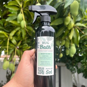May include: A black spray bottle labeled "Bug Bath" with a white and green label. The label reads "Natural Plant Cleanser" and includes usage instructions. The bottle is held in front of a background of green leaves and mangoes.