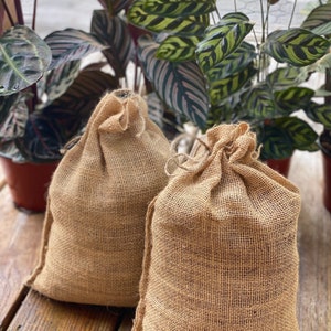 May include: Two brown burlap bags with drawstrings, sitting on a wooden surface. The bags are empty and ready to be filled.