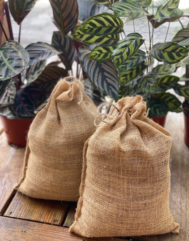 May include: Two brown burlap bags with drawstrings, sitting on a wooden surface. The bags are empty and ready to be filled.