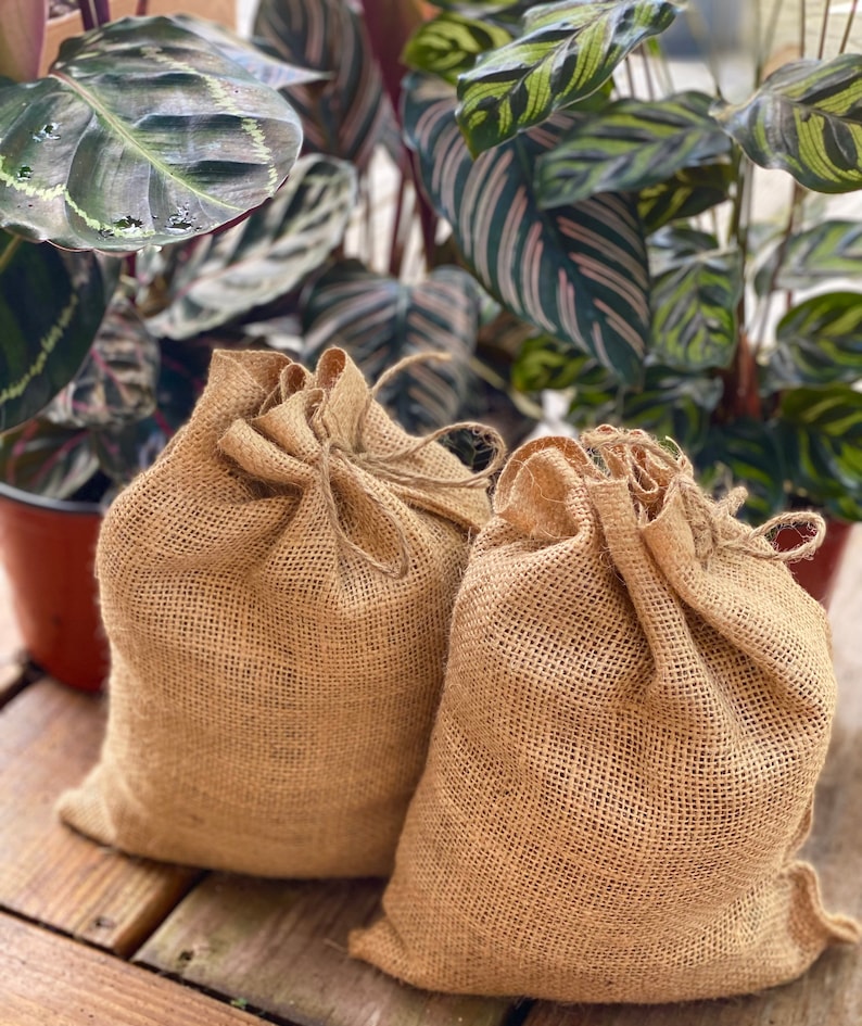 May include: Two brown burlap bags with drawstrings, sitting on a wooden surface. The bags are empty and ready to be filled.