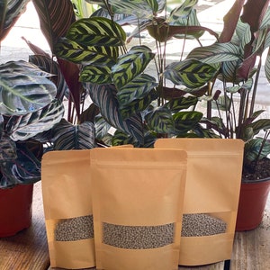 May include: Three brown paper bags filled with small gray plant food pellets. The bags are sitting on a wooden surface in front of a potted plant with large green and red leaves.
