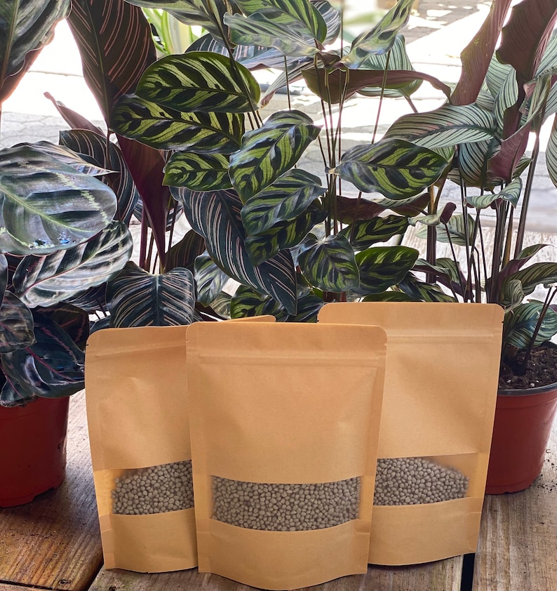 May include: Three brown paper bags filled with small gray plant food pellets. The bags are sitting on a wooden surface in front of a potted plant with large green and red leaves.