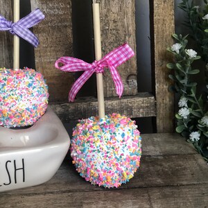May include: Two white chocolate apples covered in colorful sprinkles on wooden sticks with pink and purple gingham bows. The apples are sitting on a white ceramic dish with the word "Dish" written on it.