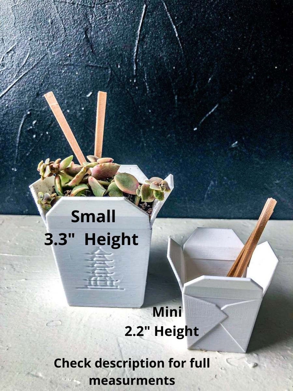 Small or Set of 2 small and Mini Chinese Take Out Planter Etsy Canada