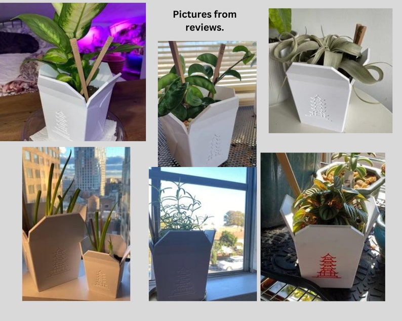 One LARGE Chinese Take Out Planter Indoor Planter 4 Inch Etsy