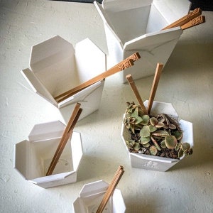 May include: White paper take-out containers with wooden chopsticks. One container holds a succulent plant. The chopsticks have Chinese characters etched on them. The containers are arranged on a white surface.