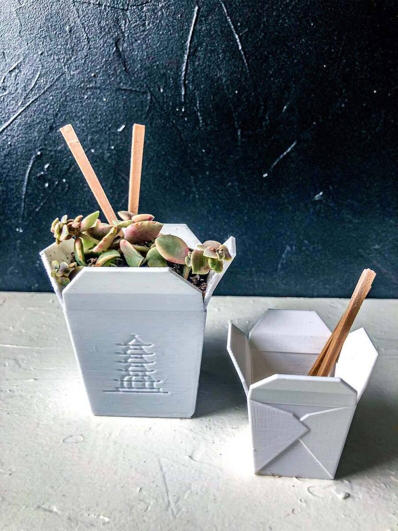 Set of Medium Chinese Takeout Box Planters Succulents Etsy