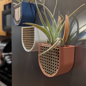 May include: Three wall-mounted planters in navy blue, white, and coral. Each planter has a curved front with a woven cane design and holds a small air plant. The planters are attached to a grey surface.