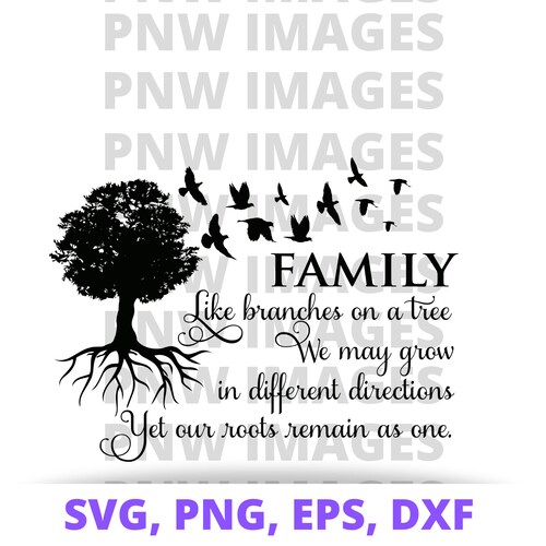 My Image 15