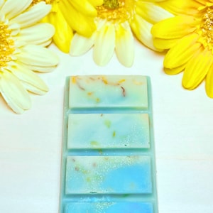 Lemon Blueberry Tart Wax Melts | 100% Natural Soy | Snap Bars | Strong Scented | Flowers Petals | Gifts | Wax Tarts | Home Fragrance | Vegan