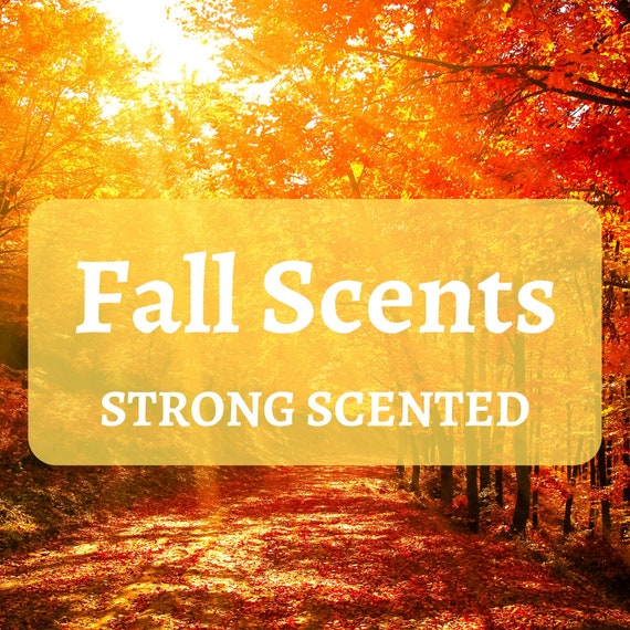 FALL SCENTS | Wax Melts | Strong Scented | Choose Your Scent | Snap bars | 100% Natural Soy Wax | Gifts | Wax Tarts | Home Fragrance | Vegan