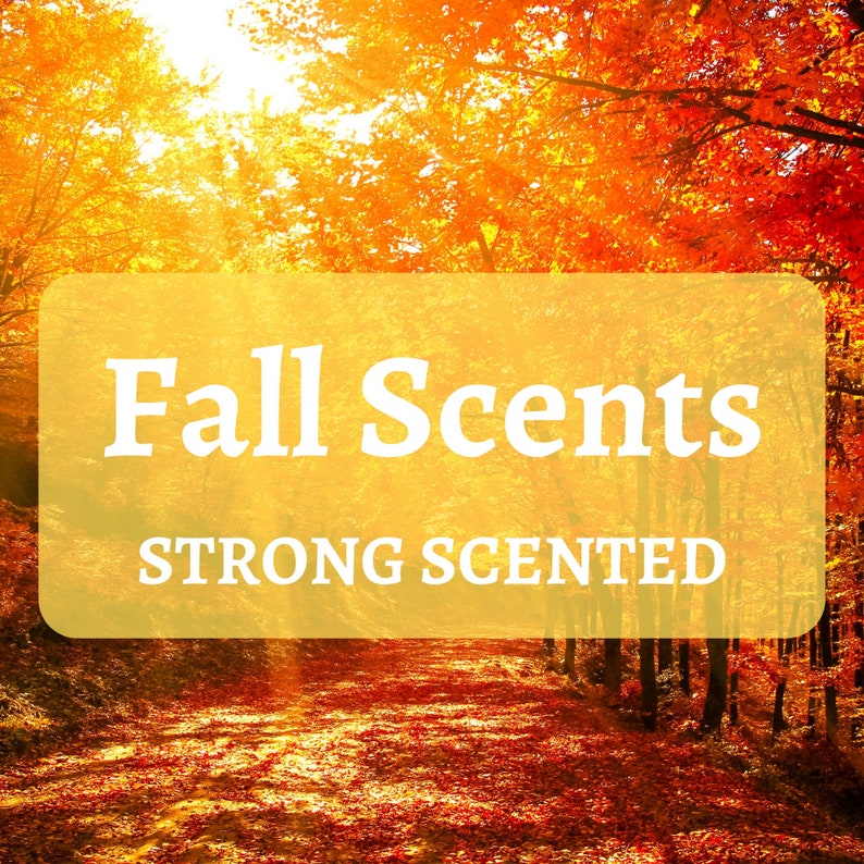 Puede incluir: Un rect&aacute;ngulo amarillo con el texto "Fall Scents" en blanco y el texto "STRONG SCENTED" en blanco debajo. El rect&aacute;ngulo est&aacute; delante de un fondo de un camino a trav&eacute;s de un bosque con hojas rojas y naranjas en los &aacute;rboles y en el suelo.