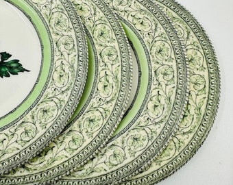 The Royal Horticultural Society Apple Bee Collection Set of Four