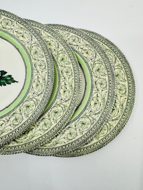 The Royal Horticultural Society Apple Bee Collection Set of Four