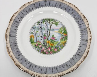 Royal Albert Silver Birch set of 4 luncheon plates