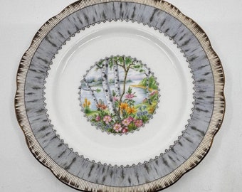 Royal Albert Silver Birch set of 4 side plates