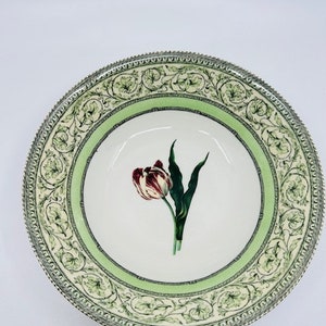 The Royal Horticultural Society Apple Bee Collection Large Serving