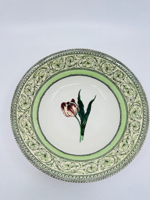 The Royal Horticultural Society Apple Bee Collection Large Serving