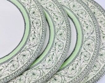 The Royal Horticultural Society Apple Bee Collection Set of Four