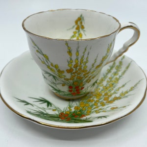 Royal Stafford « Broom » Main Peint Tasse à thé et soucoupe