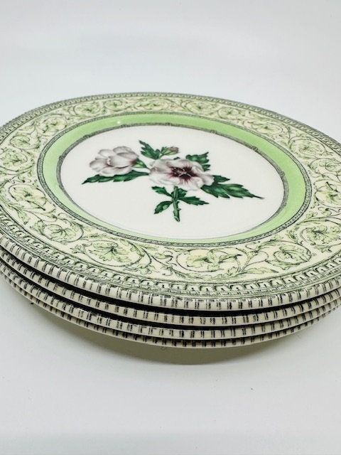 The Royal Horticultural Society Apple Bee Collection Set of Four