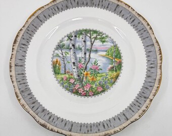 Juego de 4 platos llanos Royal Albert Silver Birch