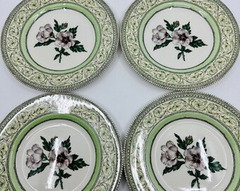 The Royal Horticultural Society Apple Bee Collection Set of Four