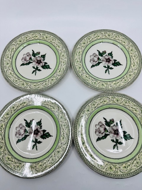 The Royal Horticultural Society Apple Bee Collection Set of Four