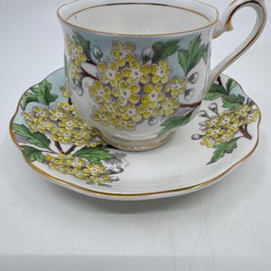 Royal Albert Flower of the Month series - Hawthorn no. 5