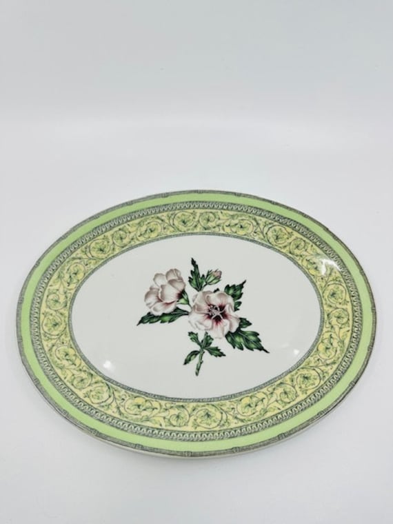 The Royal Horticultural Society Apple Bee Collection Large Serving