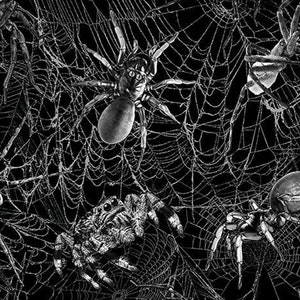 Halloween fabric -- Creepy spiders and webs on black -- 100% cotton quilting fabric