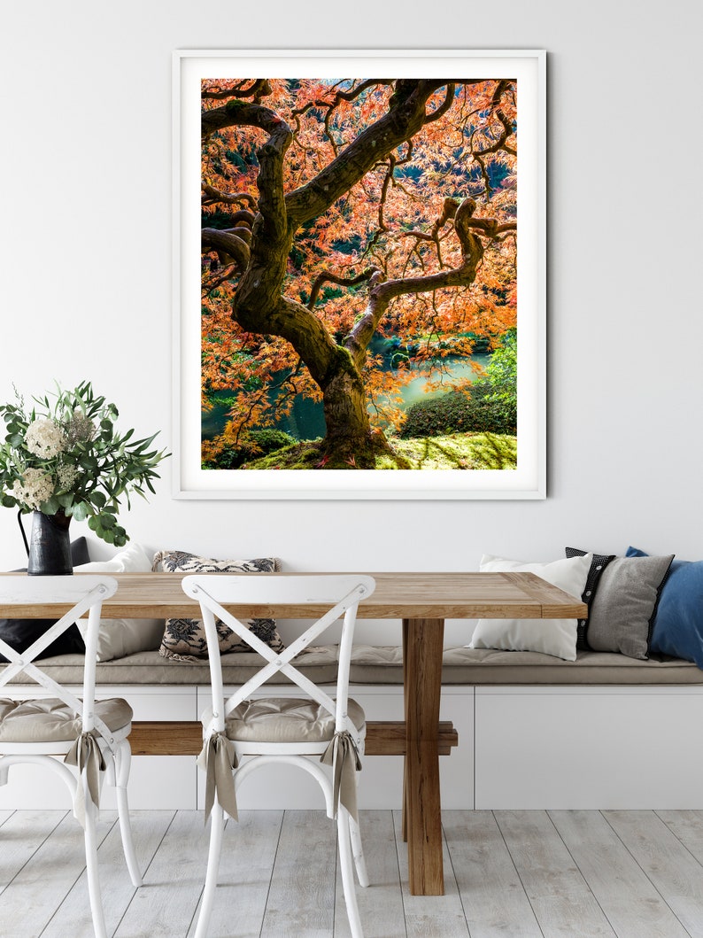 Japanese Maple Wall Art Tree Print Nature Photography Etsy