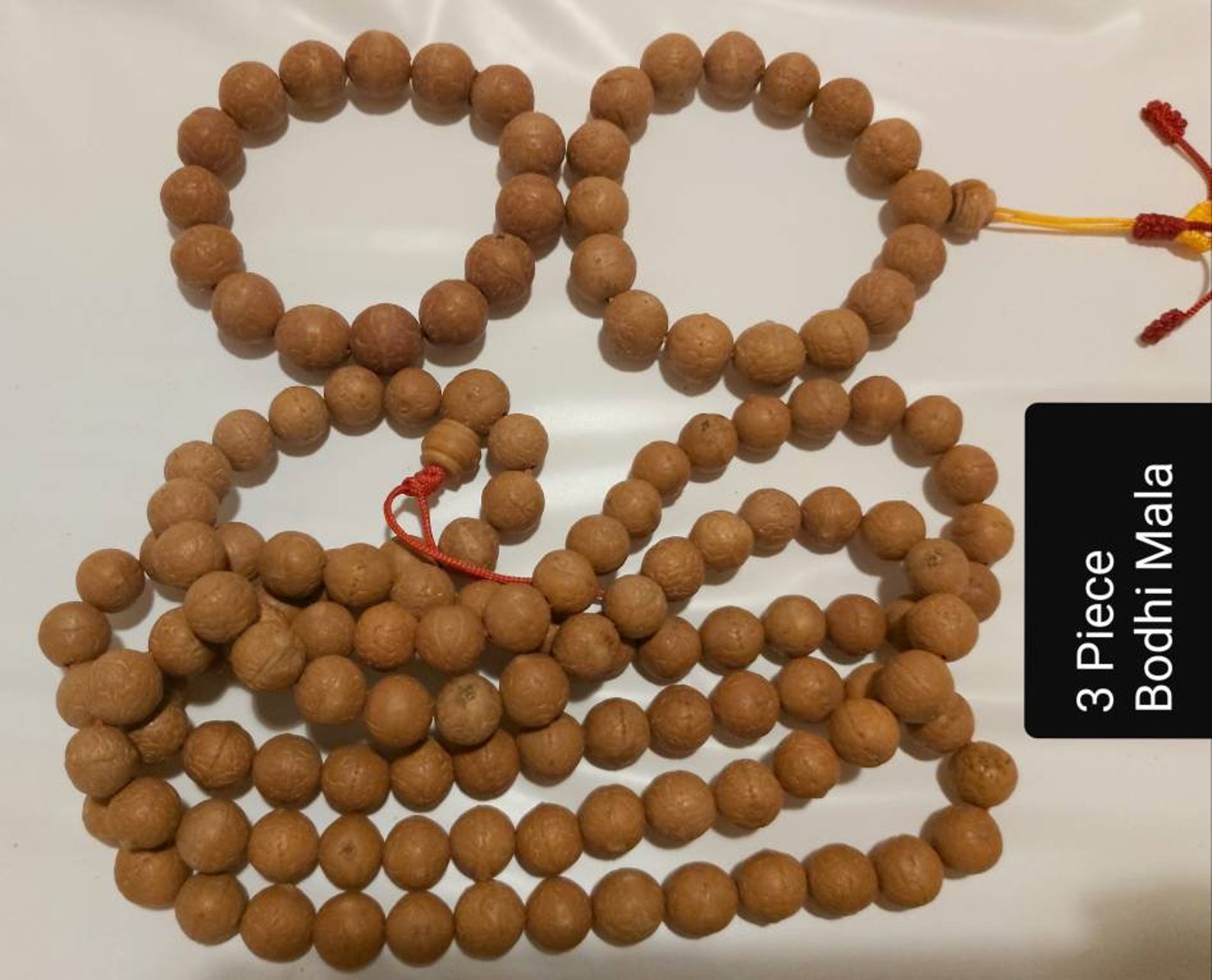 3 x Genuine Nepal Natural Tibetan Bodhi Seed Buddha Chitta Etsy