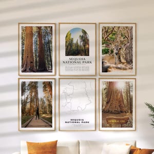 May include: A collection of six framed art prints featuring scenes from Sequoia National Park. The prints showcase giant sequoia trees, a deer, and a map. Some prints include the text "Sequoia National Park" and "General Lee". The frames are a natural wood color.