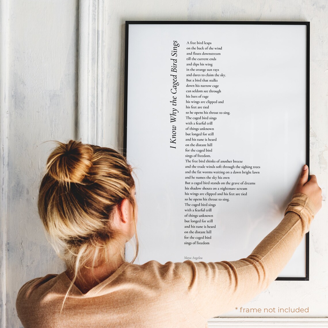 Sparknotes i know why the caged bird image