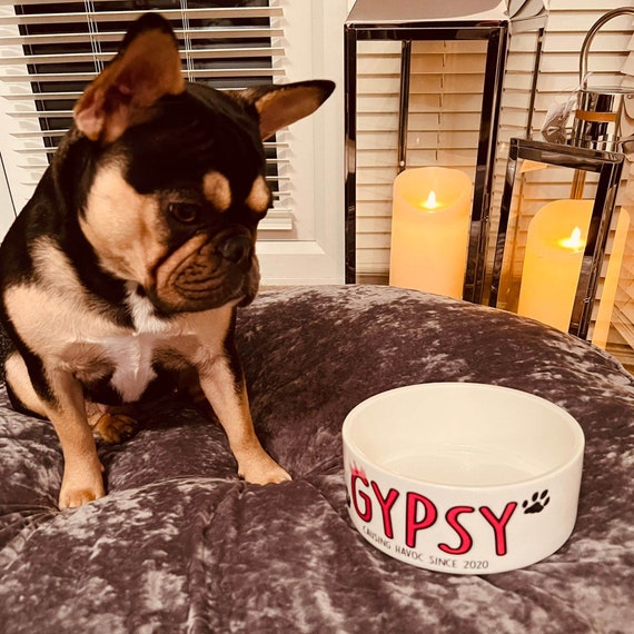 Funny Ceramic Dog Bowl Pet Bowl Feeding and Water Bowl Large the