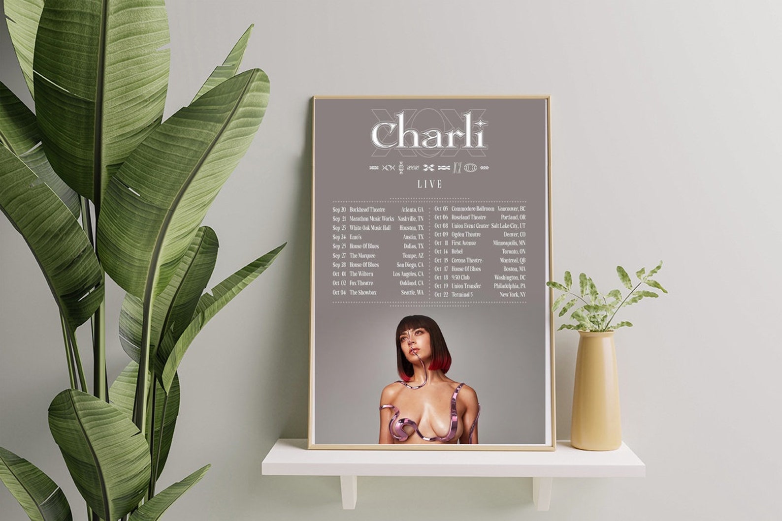 charli xcx tour poster