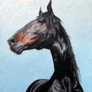 Ritratto personalizzato cavallo / Cavallo dipinto a mano ad acquerello / Ritratto personalizzato cavallo da foto