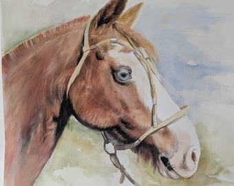 Ritratto personalizzato cavallo dipinto a mano, Arte equestre, Ritratti da foto su commissione ad acquerello e matite