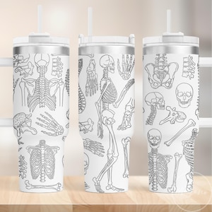 40oz Tumbler Human Skeleton Bones Wrap SVG, Radiology - Perfect for Laser Engraving & Full Wrap, Digital Download