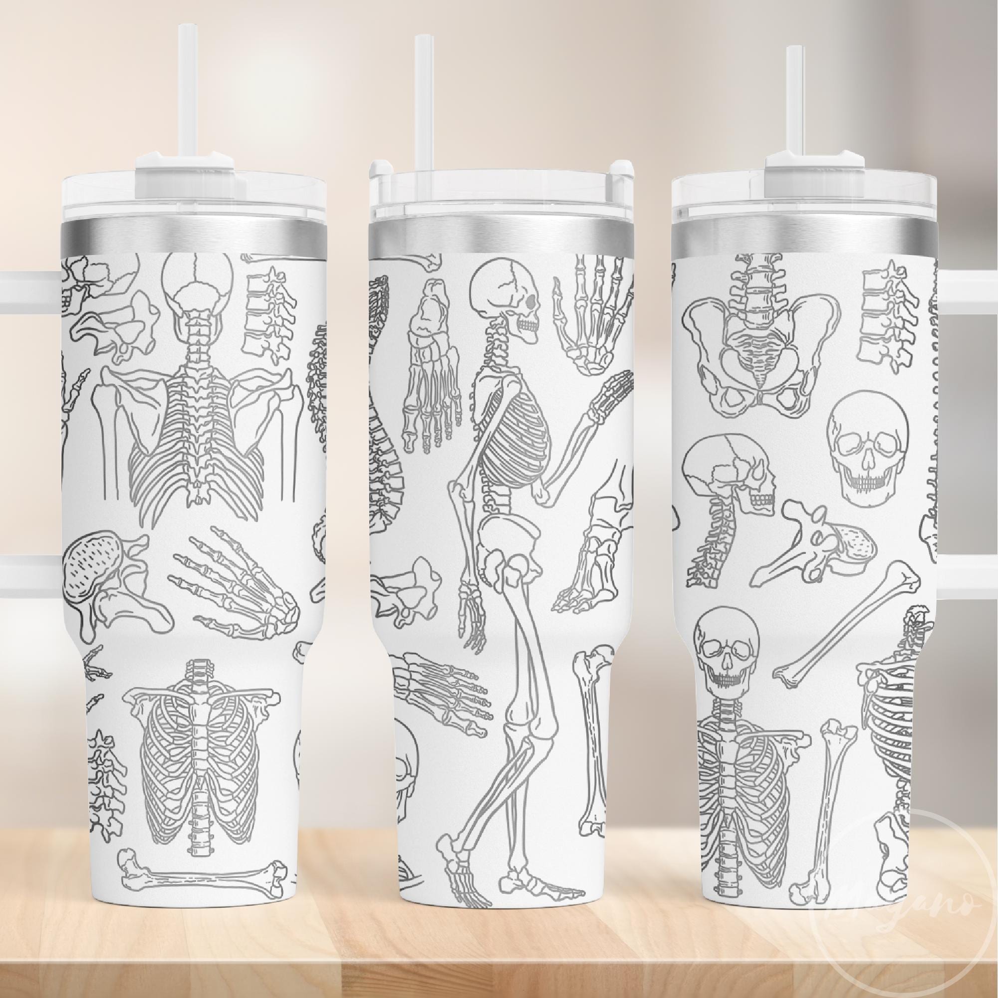 40oz Tumbler Human Skeleton Bones Wrap SVG, Radiology - Perfect